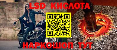шишки Будённовск