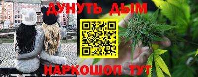 шишки Будённовск