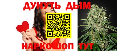 шишки Будённовск